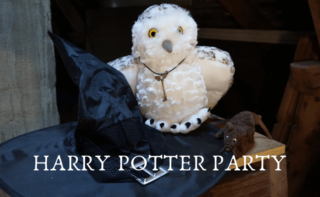 Harry Potter Party zum Kindergeburtstag